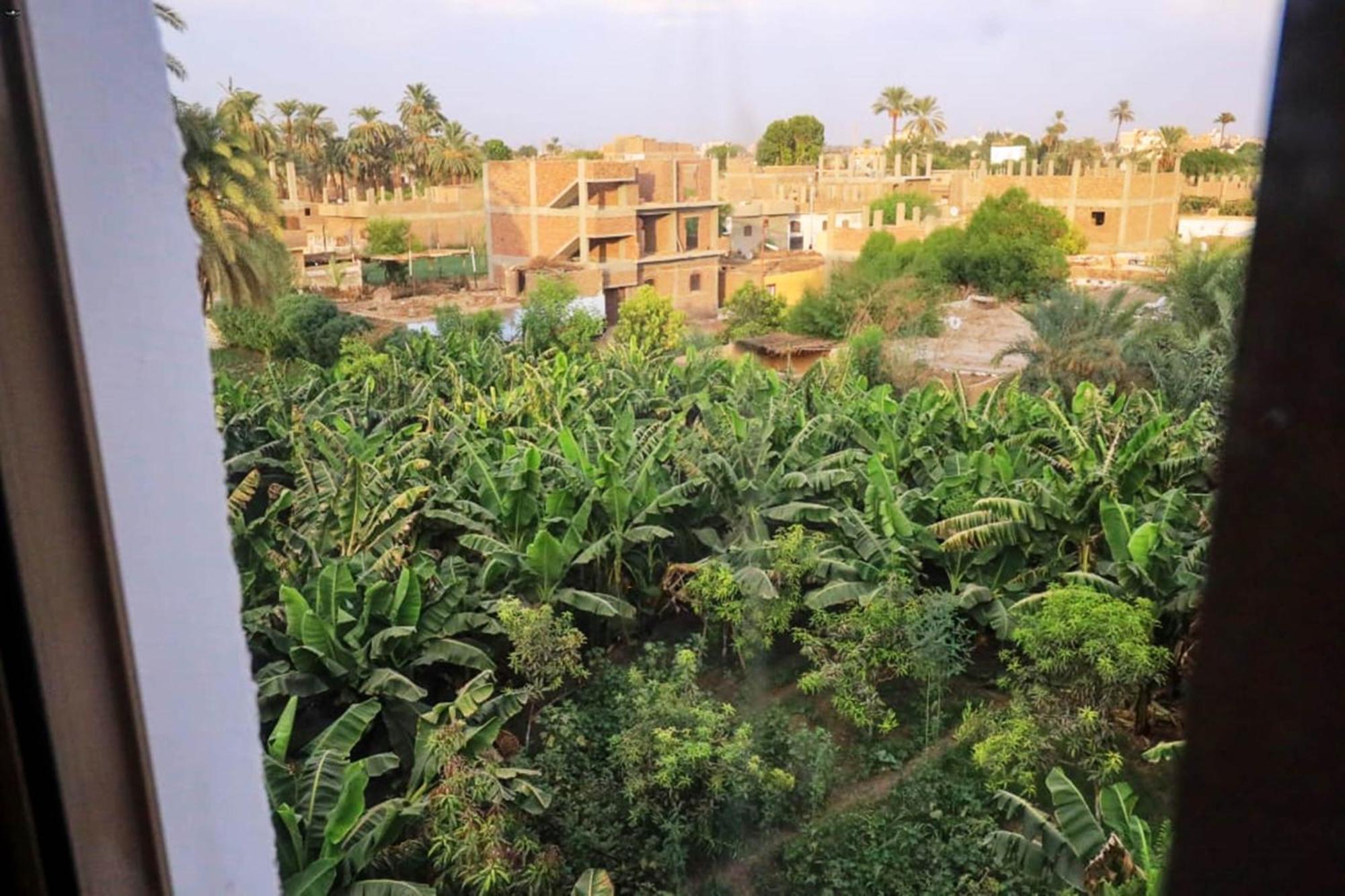 Luxor View Hostel Exteriör bild