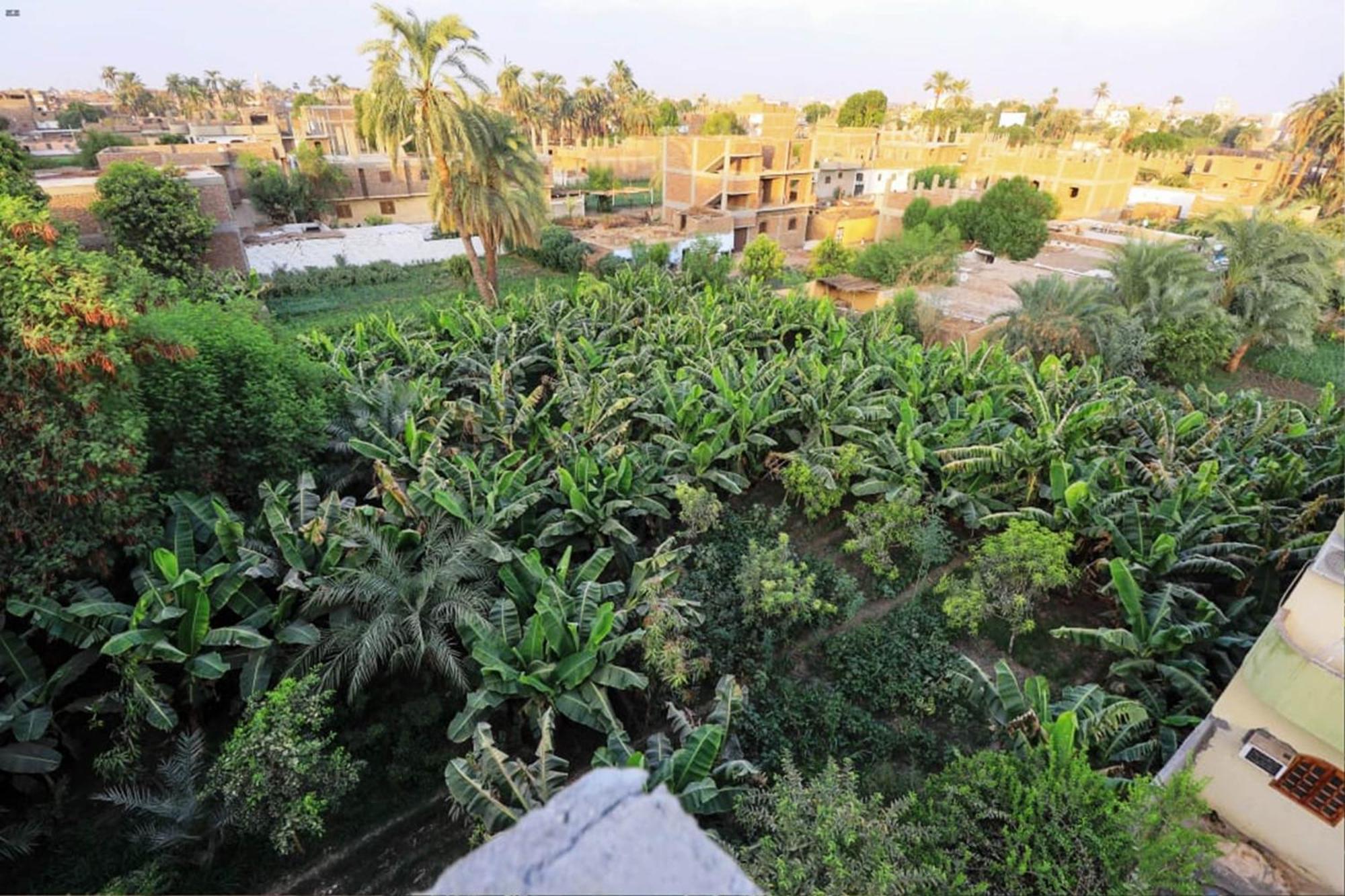 Luxor View Hostel Exteriör bild